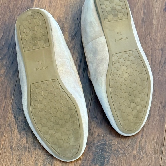 Birdies The Starling - Picture 2 of 2